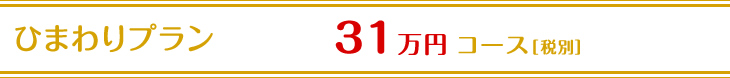 ひまわりプラン