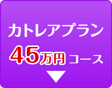 カトレアプラン