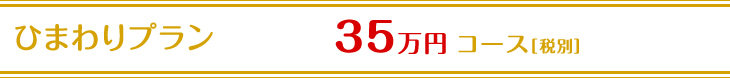 ひまわりプラン